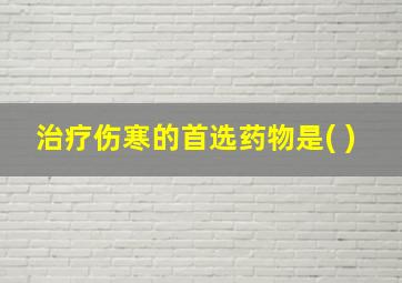 治疗伤寒的首选药物是( )